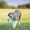 KONG Puppy Goodie Bone Teething Chew Toy for Puppies