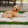 Paw PupRug Portable Orthopedic Dog Bed White