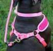 Coastal Pet Comfort Soft Wrap Adjustable Dog Harness Orchid