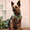 American River Choke Free Dog Harness Ombre Collection