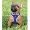 American River Choke Free Harness Hawaiian Trim