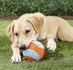 Chuckit Indoor Ball Toy for Dogs