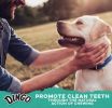 Dingo Dental Sticks for Tartar Control