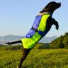 Alpine All-Weather Dog Coat