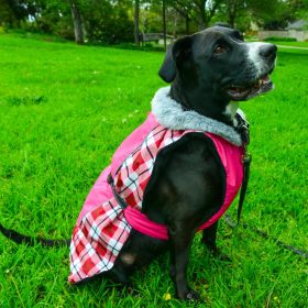 Alpine All-Weather Dog Coat (Color: Raspberry Plaid, size: 5X-Large)