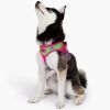 American River Choke Free Dog Harness Ombre Collection