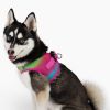 American River Choke Free Dog Harness Ombre Collection