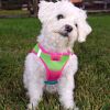 American River Choke Free Dog Harness Ombre Collection