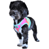 American River Choke Free Dog Harness Ombre Collection