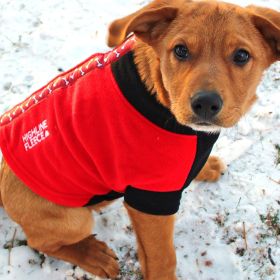 Highline Fleece Dog Coat (Color: Red and Black with Rolling Bones, size: Size 24)