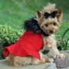 Wool Fur-Trimmed Dog Harness Coat