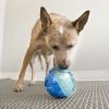 KONG Rewards Treat Dispenser Ball Small Dog Toy