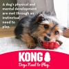 KONG Dental With Floss Rope Chew Toy Small