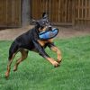 KONG Ballistic Football Dog Toy Large Assorted Colors