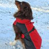 Alpine All-Weather Dog Coat