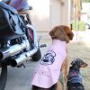 Biker Dawg Motorcycle Dog Jacket