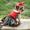 Holiday Dog Harness Dress