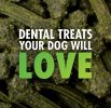 Sergeants Minties Dental Treats for Dogs Tiny Small