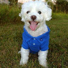 Solid Dog Polo (Color: Nautical Blue, size: X-Small)