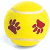 Spot Mint Flavored Tennis Ball Dog Toys