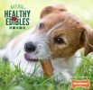 Nylabone Healthy Edibles Chews Roast Beef and Chicken Flavor Petite